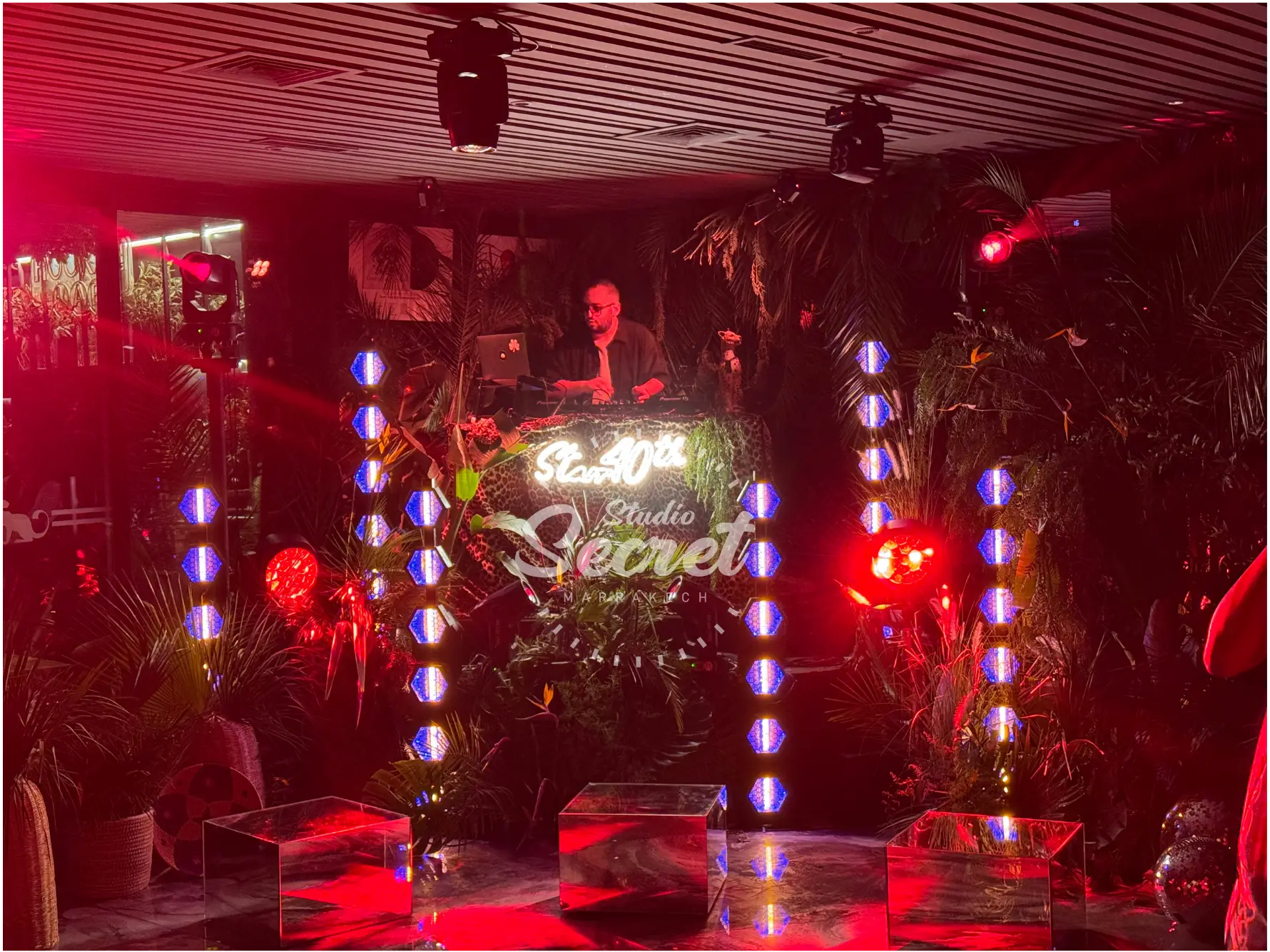 The Jungle Night