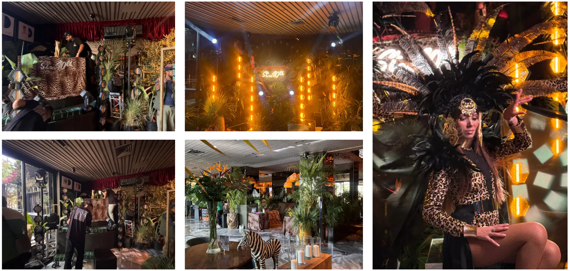 The Jungle Night